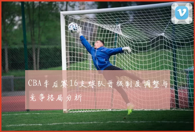 CBA季后赛16支球队晋级制度调整与竞争格局分析