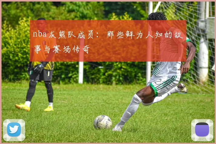 nba灰熊队成员：那些鲜为人知的故事与赛场传奇