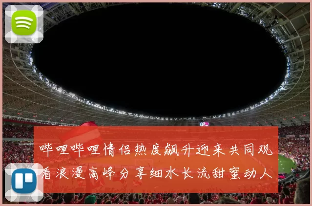 哔哩哔哩情侣热度飙升迎来共同观看浪漫高峰分享细水长流甜蜜动人