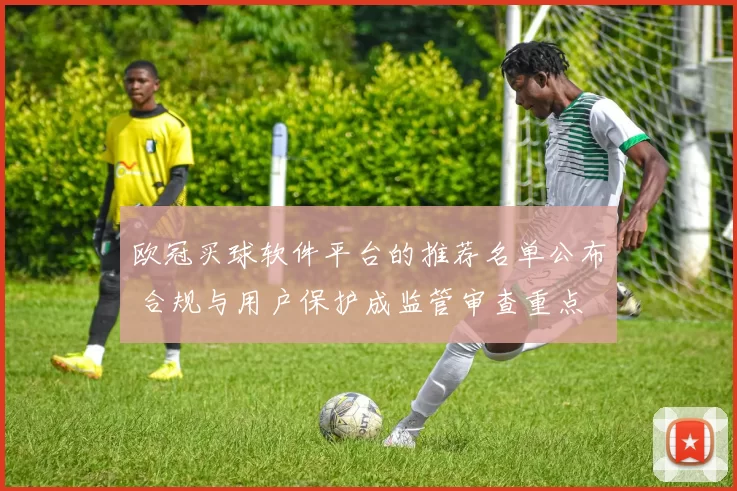欧冠买球软件平台的推荐名单公布 合规与用户保护成监管审查重点