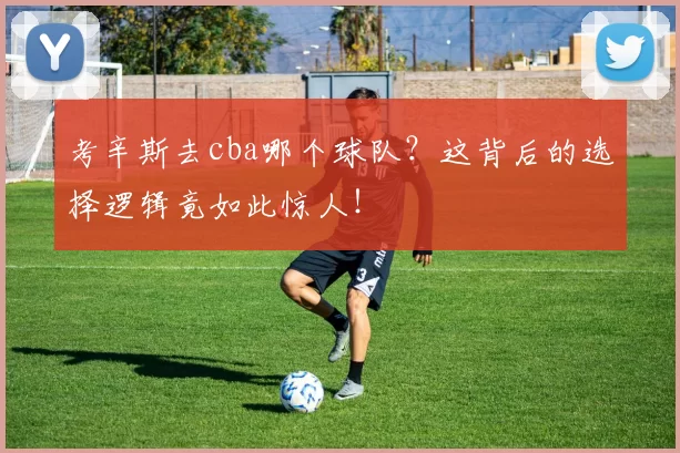 考辛斯去cba哪个球队？这背后的选择逻辑竟如此惊人！